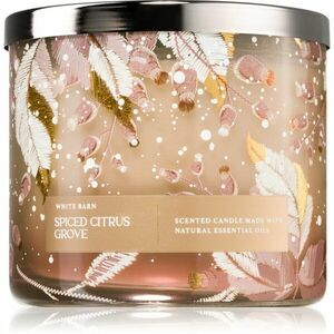 Bath & Body Works Spiced Citrus Grove vonná svíčka 411 g obraz