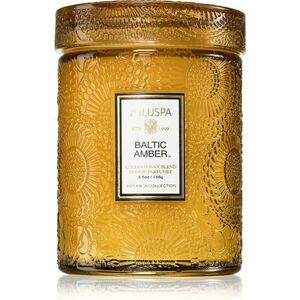 VOLUSPA Japonica Baltic Amber vonná svíčka 156 g obraz