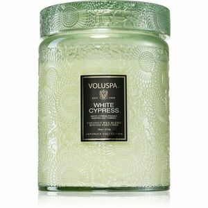 VOLUSPA Japonica Holiday White Cypress vonná svíčka 510 g obraz