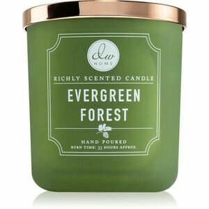 DW Home Signature Evergreen Forest vonná svíčka 269 g obraz