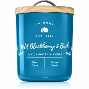 DW Home Farmhouse Wild Blackberry & Birch vonná svíčka 255 g obraz