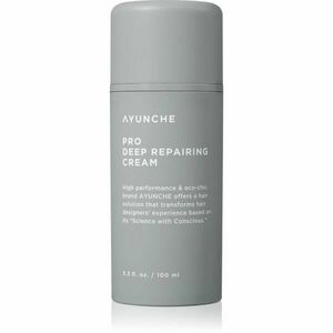 AYUNCHE Pro Deep Repairing Cream hloubkově regenerační krém pro poškozené vlasy 100 ml obraz