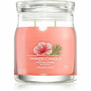 Yankee Candle Tropical Breeze vonná svíčka Signature 368 g obraz