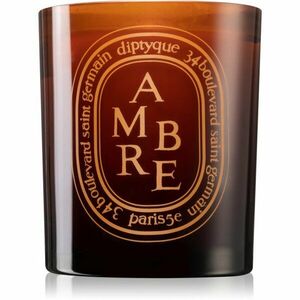 Diptyque Colored Ambre vonná svíčka 300 g obraz