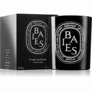 Diptyque Colored Baies vonná svíčka 300 g obraz