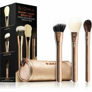 Sigma Beauty Brush Set Bloom + Glow sada štětců s pouzdrem obraz