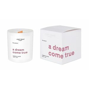 Scent Blend Svíčka s vůní A Dream Come True 160 ml obraz