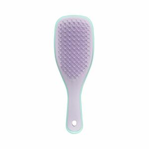 Tangle Teezer The Ultimate Detangler Mini Wystera Leaf kartáč na vlasy 1 ks obraz