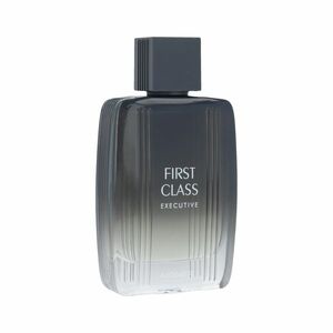 Aigner First Class Executive EDT 100 ml M obraz