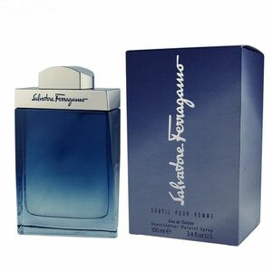 Salvatore Ferragamo Subtil pour Homme EDT 100 ml M obraz