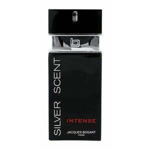 Jacques Bogart Silver Scent Intense EDT 100 ml M obraz