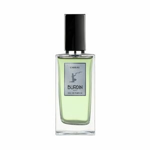 Burdin Carrure EDP 100 ml M obraz