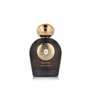 Tiziana Terenzi Hyakutake Extrait de Parfum 100 ml UNISEX obraz