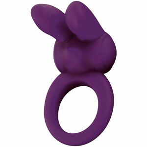 Toy Joy Vibrační erekční kroužek Silicone Rabbit obraz