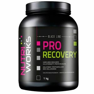 NutriWorks Pro Recovery 2000g - čokoláda obraz