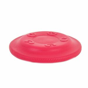 Akinu AQUA pěnové frisbee pro psy velké červené 21, 5 cm obraz