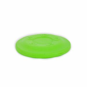 Akinu AQUA pěnové frisbee pro psy malé zelené 17 cm obraz