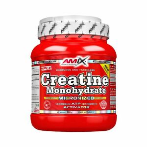 Amix Nutrition Creatine Monohydrate - 500g obraz