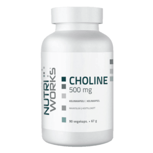 NutriWorks Choline 500mg - 90 kapslí obraz