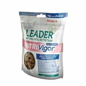 LEADER Nutri-Vigor Hip & Joint - Salmon 130g obraz