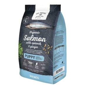 Go Native Puppy Salmon with Spinach and Ginger 4kg s obsahem až 70% masa z lososa obraz