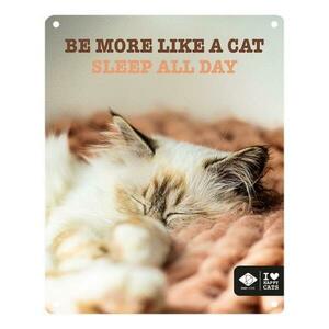 Ebi D&D I LOVE HAPPY CATS kovová tabulka: , ,Be more like a cat sleep all day” 20x obraz