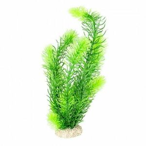 Ebi AQUA DELLA Rostlina umělá HORNWORT 32cm zelená 1ks obraz