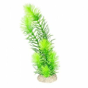 Ebi AQUA DELLA Rostlina umělá HORNWORT 24cm zelená obraz