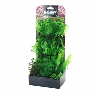 Hobby Plantasy Set 5- Sada umělých rostlin 5 obraz