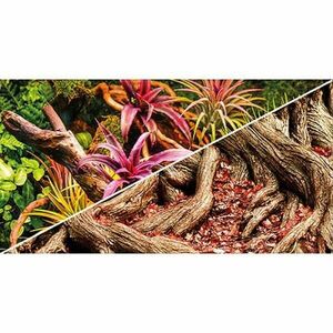 Hobby Pozadí oboustranné Jungle / Strangler Fig 60cm x 25m obraz