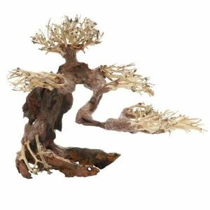 Dupla Bonsai M -Přírodní dřevěná dekorace do sladkovodního akvária 30x15x23 cm obraz