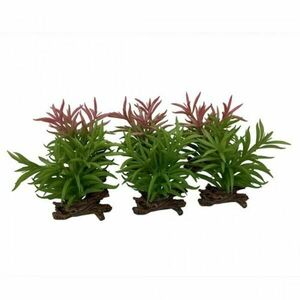 Ebi TERRA DELLA Rostlina umělá CRASSULA M mix farby 16cm 1ks obraz