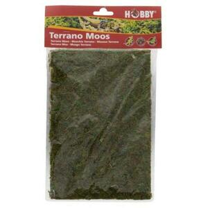 Hobby Terrano natural moss - sušený přírodní mech obraz