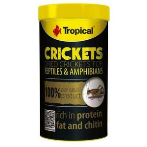 Tropical Crickets 100ml/10g sušených cvrčků pro plazy obraz