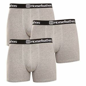 Horsefeathers 3PACK pánské boxerky Dynasty heather gray (AM067C) M obraz