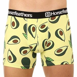 Horsefeathers Pánské boxerky Sidney Avocado (AM164K) L obraz