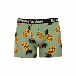 Horsefeathers Pánské boxerky Sidney Pineapple (AM164G) M obraz