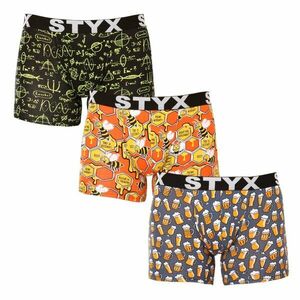 Styx 3PACK pánské boxerky long art sportovní guma vícebarevné (3U13724) XXL obraz