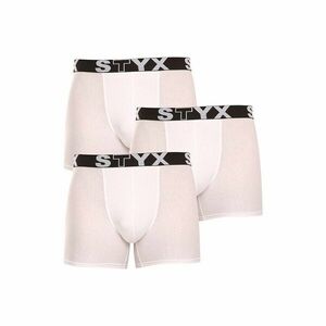 Styx 3PACK pánské boxerky long sportovní guma (U10616161) L obraz