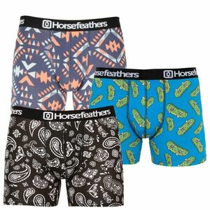 Horsefeathers 3PACK pánské boxerky Sidney (AM070LPV) M obraz