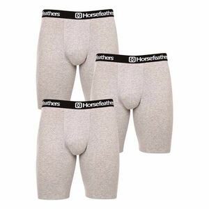 Horsefeathers 3PACK pánské boxerky Dynasty long (AM195C) M obraz