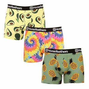 Horsefeathers 3PACK pánské boxerky Sidney (AM164DGK) M obraz