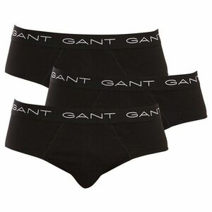 GANT 3PACK pánské slipy černé (900003001-005) M obraz