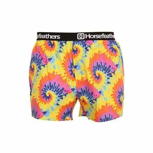 Horsefeathers Pánské trenky Frazier Tie dye (AM166B) L obraz