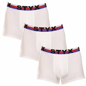 Styx 3PACK pánské boxerky sportovní guma bílé trikolóra (3G2061) XL obraz