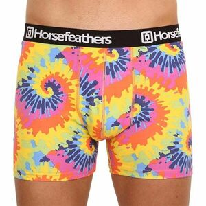 Horsefeathers Pánské boxerky Sidney Tie dye (AM164D) L obraz