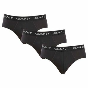 GANT 3PACK pánské slipy černé (900013001-005) L obraz