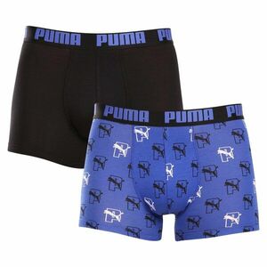 Puma 2PACK pánské boxerky vícebarevné (701228673 002) L obraz