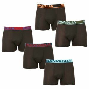 Gianvaglia 5PACK pánské boxerky černé (GVG-5010) XL obraz