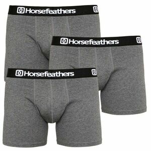 Horsefeathers 3PACK pánské boxerky Dynasty heather antracite (AM067B) L obraz